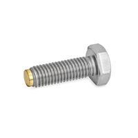 GN 933.5 Stainless Steel Hexagon Head Screw with Brass Plastic Spherical Pivot